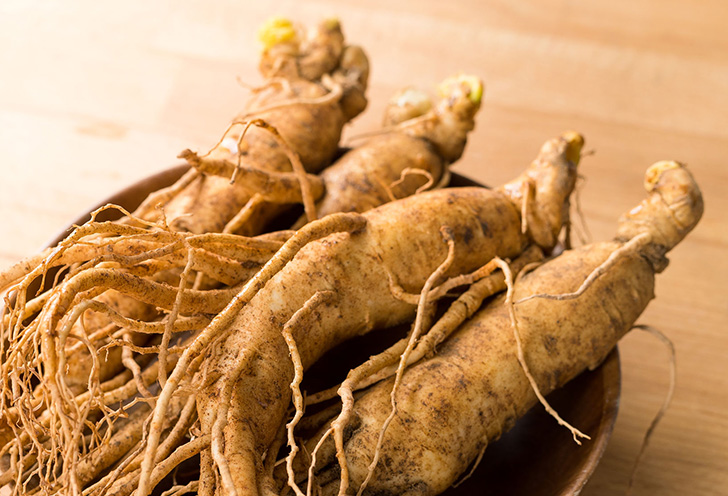 RADIX GINSENG